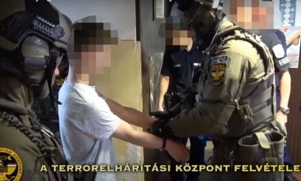 A TikTok oldalán élőben akart gyilkolni a 16 éves érdi fiú, kommandósok fogták el