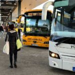 Kutyakomédia: a MÁV vezérgigazgatója vasárnapra az összes klímás buszt Kelenföldre rendelte, pedig szombaton lett volna szükség igazán rájuk