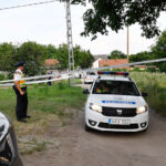 Halálra marta a család kutyája az egy éves Danikát, az anya csak jóval később vette észre, hogy mi történt a gyermekével