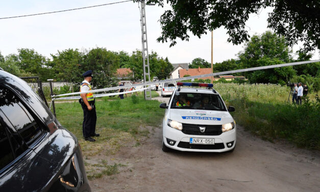 Halálra marta a család kutyája az egy éves Danikát, az anya csak jóval később vette észre, hogy mi történt a gyermekével