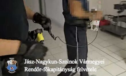 Gyilkosság Szolnokon: együtt találta élettársát közös ismerősükkel, a nőt agyonverte, a férfit életveszélyesen bántalmazta a férfi