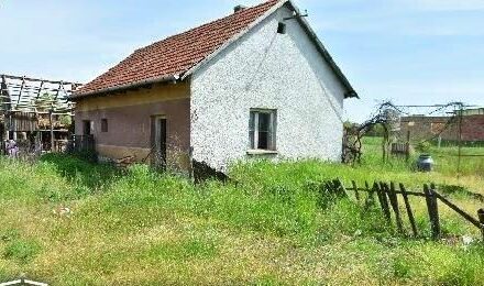 Baltás gyilkosság Nyírmihálydiban: a tettes 14 éves élettársa segédkezett a nyomok eltüntetésében