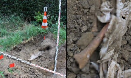 Döbbenetes: Megölte a fiát a kegyetlen apa, aztán elásta a patak parton, 25 év után most került elő a holttest – Mi történhetett?