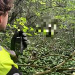 Meztelen, zavarodott nőt mentettek meg a kutató-mentők Biatorbágyon, az asszony pár hónapja a viaduknál szaladgált ruha nélkül