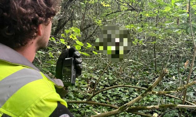 Meztelen, zavarodott nőt mentettek meg a kutató-mentők Biatorbágyon, az asszony pár hónapja a viaduknál szaladgált ruha nélkül