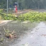 Lecsapott a vihar Budapestre és környékére, kidőlt fák, elöntött utcák mindenfelé – Fotók
