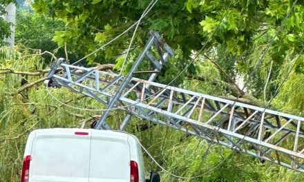 Katasztrófahelyzet Budakeszin: keddig áram nélkül marad a város, az orvosi ügyelet autójára rádőlt egy fa