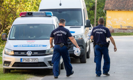 „Öld meg fiam!” – lapáttal és ásóval támadt rá egy külföldi házaspárra apa és fia: a férfit megverték, majd rágyújtották az autóját