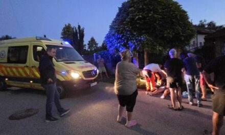 Brutális kutyatámadás Csömörön: sétáltatás közben támadt egy válogatott sportolóra és kiskutyájára a pittbull, a fiatalember nagyon súlyosan megsérült