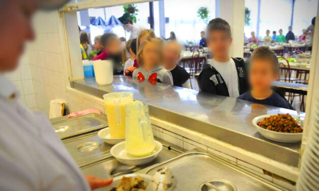 Tömeges ételmérgezés egy Budapest környéki gyermektáborban, többen kórházba kerültek
