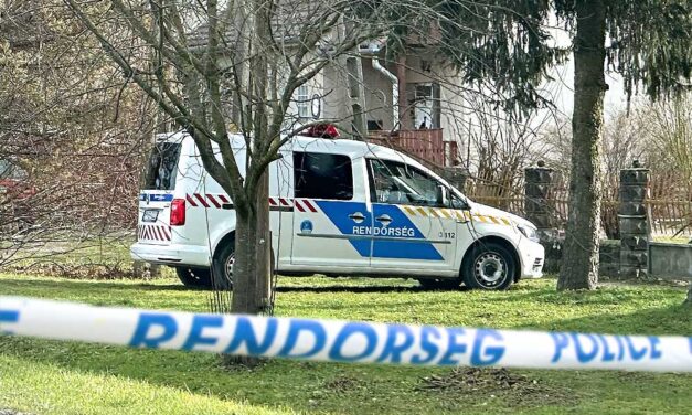 Családi dráma Gárdonyban: megölte anyját, majd magával is végzett egy férfi