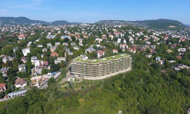 Halála előtt pár nappal a szomszédjára hagyta rózsadombi lakását egy haldokló nő, a rokonok a bíróságon támadták meg a végrendeletet