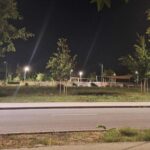 Ellepték a Hegyvidéket a vaddisznók, de a sertéspestis miatt nem lehet áttelepíteni őket