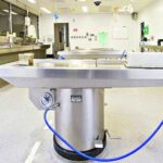 Balhé a pécsi klinikán: több száz csontot vettek ki a hamvasztásra váró holttestek koponyájából, megúszta a börtönt a igazgató és a boncmester