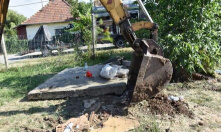 Borzalom Diósjenőn: megölte és elásta nevelt lányait, miután az egyik testvér gyermeket várt tőle