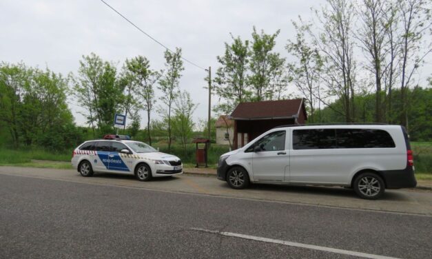 Brutális állatkínzás: az autó után kötötte a kutyáját, majd 95 km/órás sebességgel repesztett az úton – videó a cikkben
