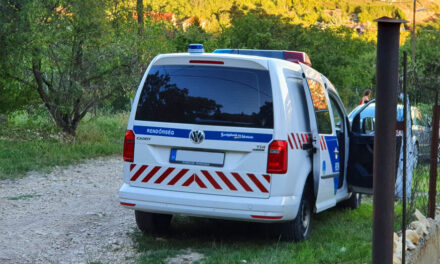 Gyomorforgató: rendszeresen éheztették és házaséletet éltek hat gyermekükkel a szatmári szülők