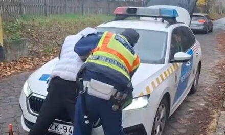 Fuvart ígértek, de kirabolták és bántalmazták a váci vasútállomáson a külföldi férfit: rendőrségi videó a cikkben