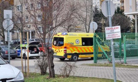 Elgázoltak egy várandós kismamát Pécsen, az újszülött lélegeztetőgépen van: szemtanúkat keres a rendőrség