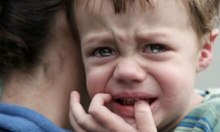 Borzalom Nagysápon: hagyták éhezni hat gyermeküket, inkább pszichoaktív szerekre költötték a pénzt 