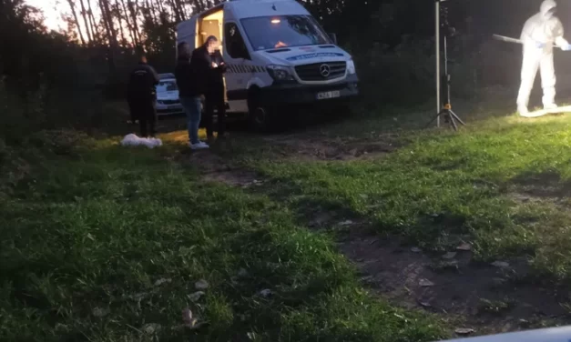 Orvoshoz kísérte, majd megfojtotta a 12 éves lányt: a 33 éves férfi rendszeresen házaséletet élt a kislánnyal