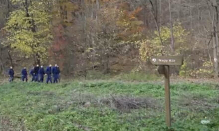 Egy szakadék mélyén találtak rá a 72 éves demens nő holttestére: az asszony két hete túrázás közben tűnt el