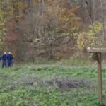 Férjével ment kirándulni, de egy pillanat alatt eltűnt az erdőben egy demens nő a Bükkben: Évát napok óta keresik – fotó a cikkben