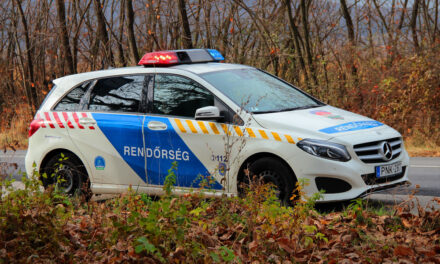 Csicskáztatta, bántalmazta és még a fizetését is elvette a testvérpár: rabszolgaként bántak a fejér megyei férfival