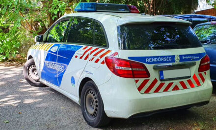 Halott anyjával élt napokig egy férfi dunakeszi házában, az asszony hiába panaszkodott, hogy rosszul van, nem hívott hozzá orvost a fia