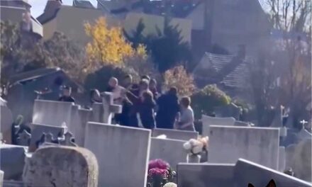 Balhé a kaposvári temetőben: két család esett egymásnak, az asszonyok rikácsolva pofozták egymást