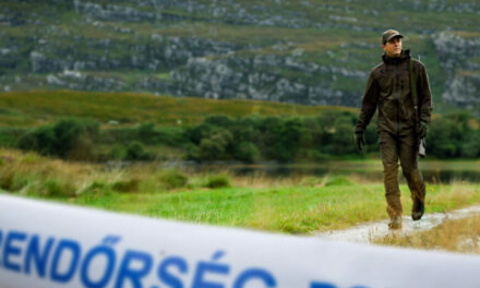 Vadászbaleset a Bükkben: autóból találta el a túrázót a vendégvadász