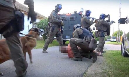 Akcióban a TEK – olyan mint egy váratlan villámcsapás, ez a hatékonyságuk titka