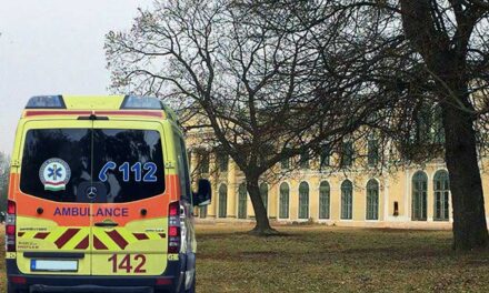 „Volt olyan időszak, amikor mindennap felvágta egy gyerek az ereit” – állítja a fóti gyermekotthon egyik nevelője