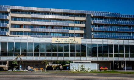 Eltűnt egy idős nő a győri kórházból, a rendőrség a lakosság segítségét kéri – fotó a cikkben