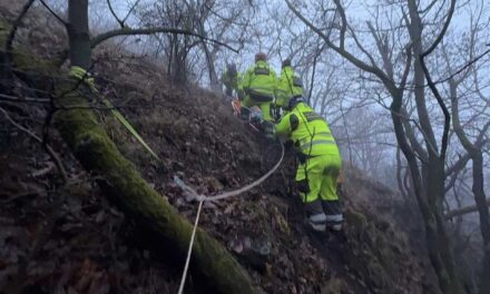 Szentendrén, a sziklák között találtak meg a hetek óta eltűntként keresett férfi holttestét
