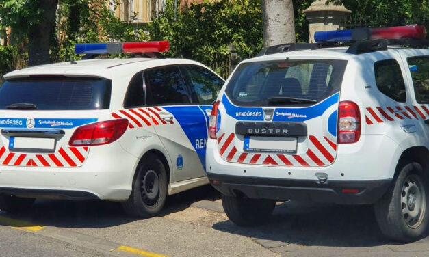 A fürdőkádban támadt volt anyósára egy nő, a nagymama életét unokája mentette meg