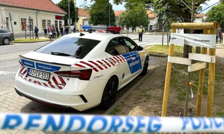 Bort lopott a szomszédjától, aki kis híján agyonütötte a tolvaj férfit