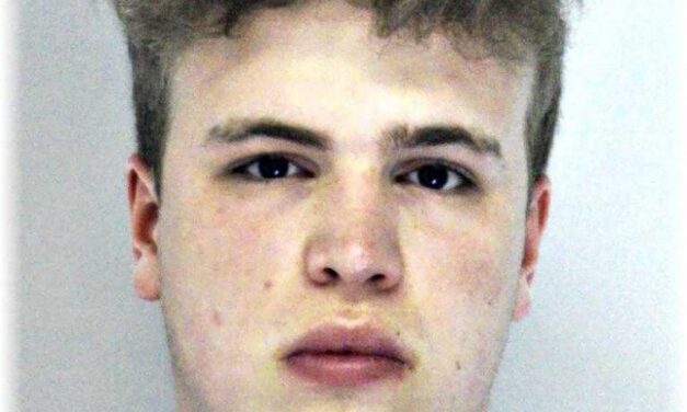 Eltűnt Dunabogdányból egy 23 éves fiú, Levente édesanyja a lakosság segítségét kéri