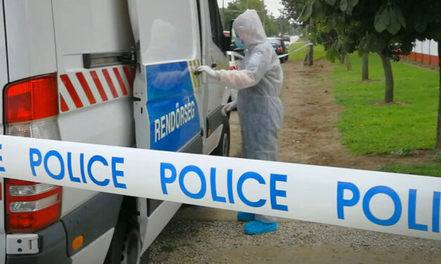 Életfogytiglanra ítélték a férfit, aki 17 késszúrással végzett volt feleségével, korábban az asszonnyal megásatta sírját