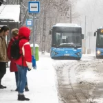 BKK: aki a Normafára megy szánkózni, válassza a közösségi közlekedést!