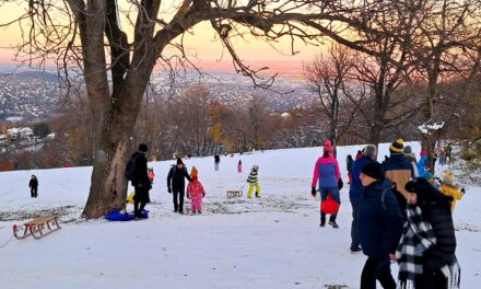 Olyan sokan mentek szánkózni a Normafára, hogy senkit nem engednek fel autóval