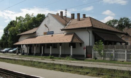 Dráma az őrbottyáni vasútállomáson: magatehetetlen állapotban feküdt a sínek mellett egy személy, miközben Vác felől érkezett egy vonat