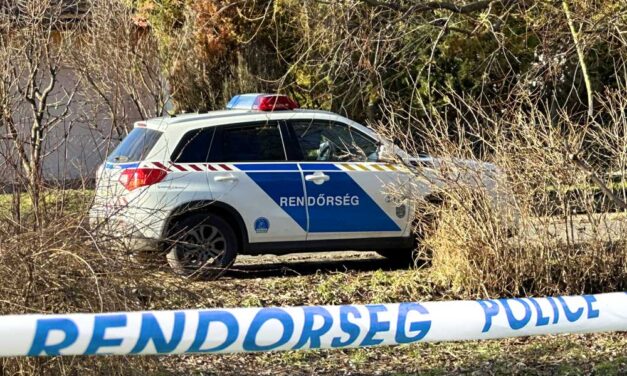 Megásatta sírját élettársával, majd brutálisan bántalmazta a nőt egy győri férfi