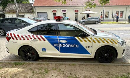 Italozás közben, bárddal verte fejbe volt élettársát egy nő, kis híján tragédia lett a vége