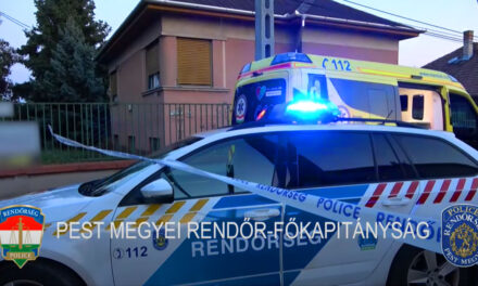 Borzalom Mélykúton: saját otthonában hunyt el egy férfi, kutyái kezdték el felfalni a maradványait