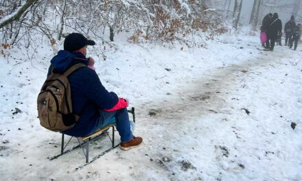 A 20 legjobb szánkózóhely Budapesten és környékén – friss lista, szuper helyszínek, garantált szórakozás