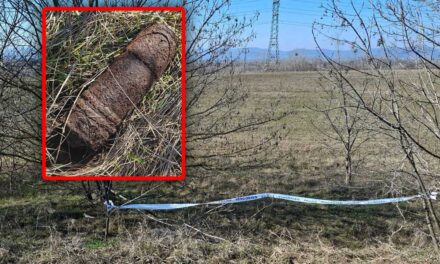 Közösségi szemétszedés közben találtak egy bombát Dunakeszin, a tűzszerészek a helyszínen hatástalanították