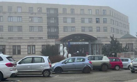 Hazaküldték a veszprémi kórházból az állkapocstörést szenvedett férfit, végül Ausztriában műtötték meg