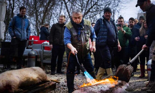Orbán Viktor disznót vágott a pátyi Pincehegyen, dübörög a kampány a budai agglomerációban is