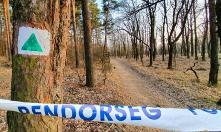 Hónapok óta nem tudják azonosítani a tokaji tévétoronynál talált férfi holttestét: a rendőrség továbbra is a lakosság segítségét kéri